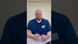 Все, что вы не знали о вакцинации взрослых собак