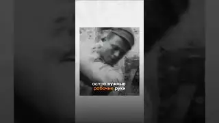 Почему образование в СССР было бесплатным? #shorts #ссср