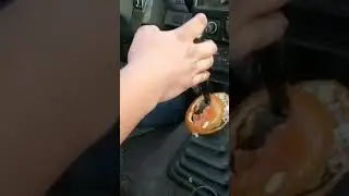 McDrive 2 leaked
