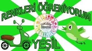 RENKLERİ ÖĞRENİYORUM // YEŞİL // OKUL ÖNCESİ