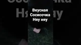 Сосисочка 
