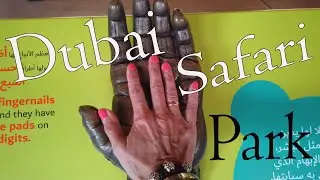 Не ходите дети в Сафари гулять...Dubai Safari Park