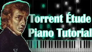 Chopin  - Op.10 No.4 