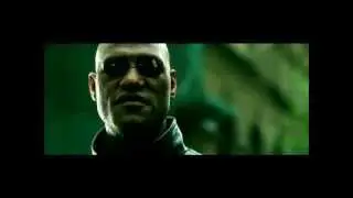 Matrix poop trailer