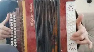 Разбор на гармони:
