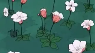 Relaxing anime flower scene