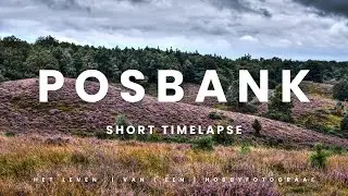 Short Timelapse | Posbank Herikhuizerveld |