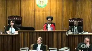 Oscar Pistorius Trial Neighbor faces grilling at murder trial