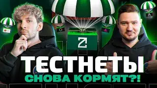 РЕТРОДРОПЫ без ВЛОЖЕНИЙ! Какие проекты жирно насыпят за ТЕСТНЕТ?! | ZetaChain, AltLayer, Berachain…