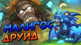 МАЛИГОС ДРУИД - АКТУАЛЬНАЯ ДЕКА НА ДРУИДА В НЫНЕШНЕЙ МЕТЕ! │HEARTHSTONE 2025│Объятия Изумрудного Сна