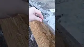 как пережил зиму забор из осб