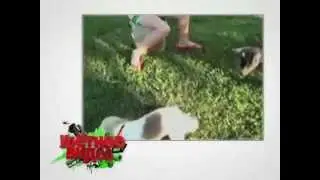 Улетное видео 327 выпуск