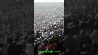 مولد رسول