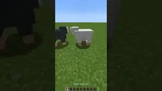 Did you recognize the song?🤔 #minecraft #minecraftshorts