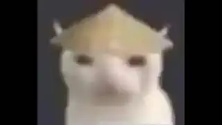 video0_30.mp4