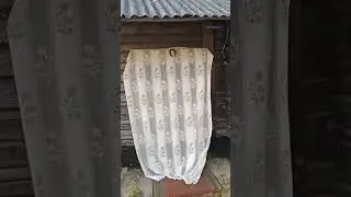 13 июля 2023 г.