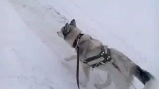 Герда катает.