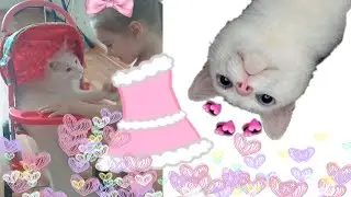 Анюта говорит о любви коту 😽