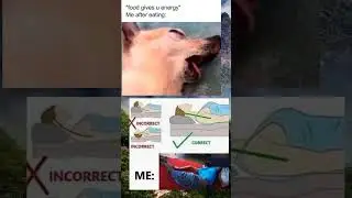 meme of the day