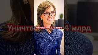 КЭТИ ВУД ГДЕ НАШИ ДЕНЬГИ?!