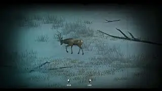 THE LONG DARK: Lighthouse Keeper, part 9 (Coastal Hightway)