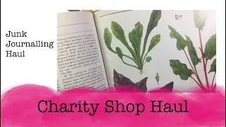 Charity Shop Haul for Junk Journals