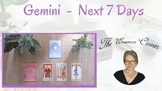 GEMINI - Next 7 Days - Timeless Tarot Reading