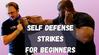 Best Self Defense Strikes For Beginners - Krav Maga Basics