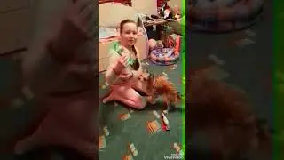 День рождения моей собаки!Поздравляю Бусю с днём рождения!