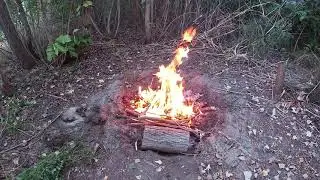 Запекаем картофель на костре