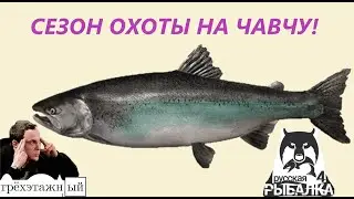 Охота на трофейную ЧАВЫЧУ🍀 Русская рыбалка 4 🍀РР4🍀RF4🍀