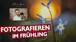 Fotografieren im Frühling ohne Makro-Objektiv | 6 Tipps