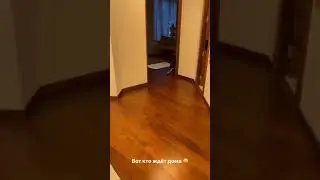 Собака соскучилась за Литвиным