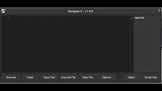 Synapse X แจกฟรี ดาวโหลดใต้คลิป ลองHack Map Ninja
