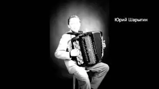 Юрий Шарыгин - Берегись Автомобиля