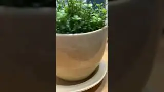 Горшок керамический