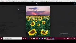 Final project for Code In Place: Image Filters