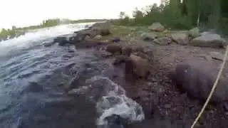 salmon fishing in torne river part 2