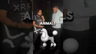 Name 3 Animals that start with the letter R… 