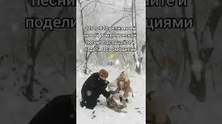 Послушайте мою новую песню о романтической любви 🎵 