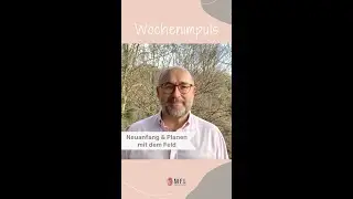 Neuanfang & Planen mit dem Feld | Morphisches Feld Lesen mit Kurt Zyprian Hörmann