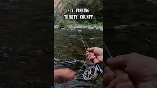Fly Fishing for Trout in Beautiful Trinity County #shorts #fishing #fish