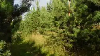 Путешествие по окрестностям Вярска