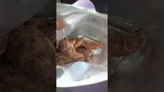 Вкусненькие бананы в шоколаде