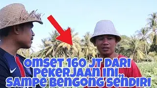LUAR BIASA !!! PENGUSAHA MUDA INI BERPENGHASILAN 160 JUTA,,DARI BISNIS INI,,#Petanisukses #berkebun