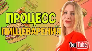 ПИЩЕВАРЕНИЕ/Роль ферментов в нем