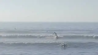 SUP surf Diary 今週のSUPサーフ　メロメロー波でロングライド240728