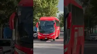 Una rareza de ver en la México Norte…  #Autobuses #transportepublico #EstrellaBlanca #viral