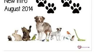 Hamsterallstars47 August 2014 New intro *MUST WATCH*