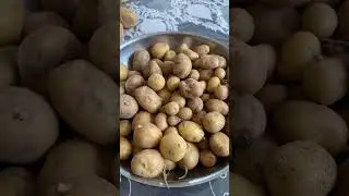 Çifliğin şekerleri 🥰